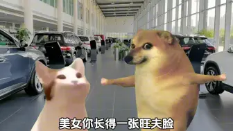 Video herunterladen: 《销售奇才》