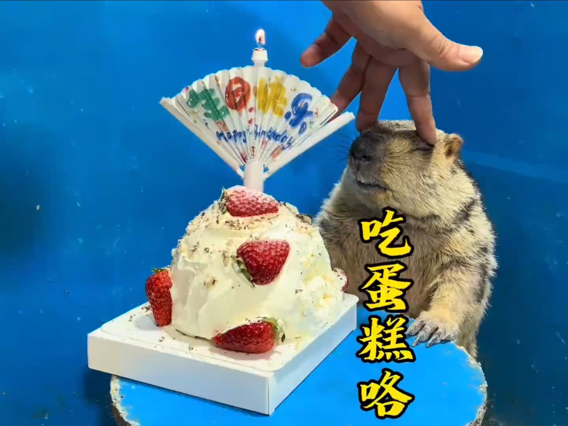 祝你生日快乐