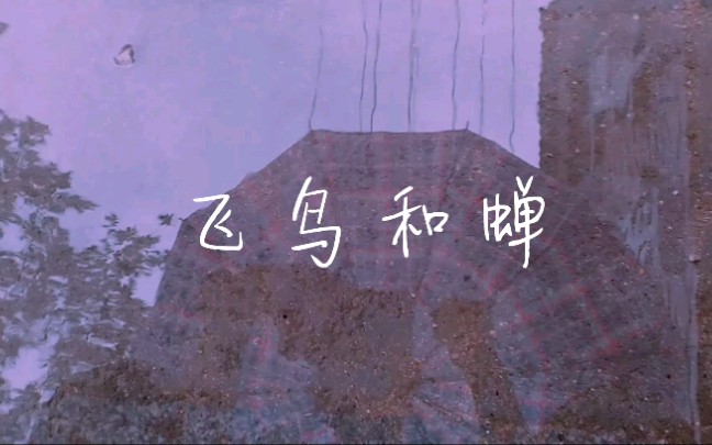 蔡恩雨翻唱版:《飞鸟和蝉》你骄傲的飞远我栖息的夏天.
