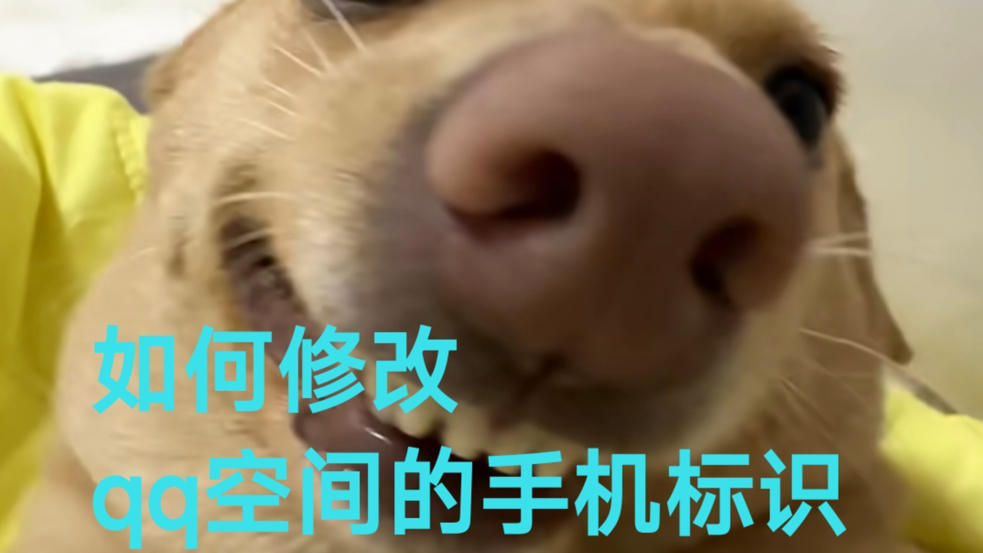 如何修改qq空间的手机标识