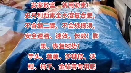 发家致富,就用劲素!史丹利劲素全水溶复合肥,不含缩二脲,不会烧根须,安全速溶、速效、长效!膨果、恢复树势!芋头、莲藕、沙糖桔、沃柑、柿子、...