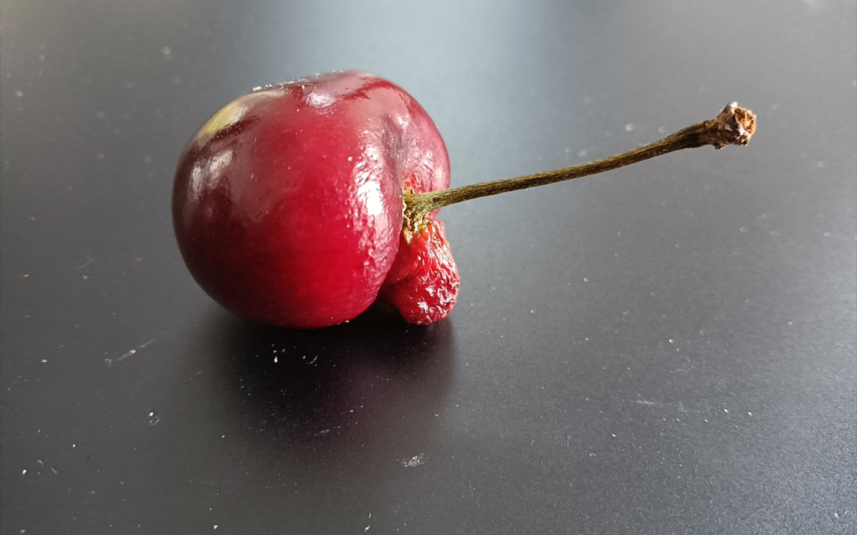 红肿不堪的林檎(悲)