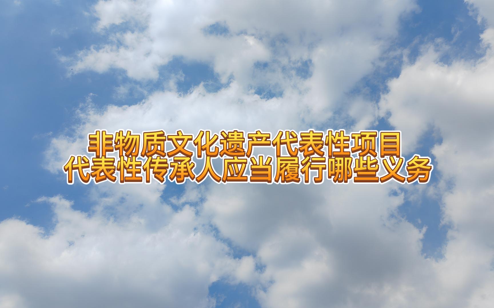 非物质文化遗产代表性项目的代表性传承人应当履行哪些义务哔哩哔哩bilibili