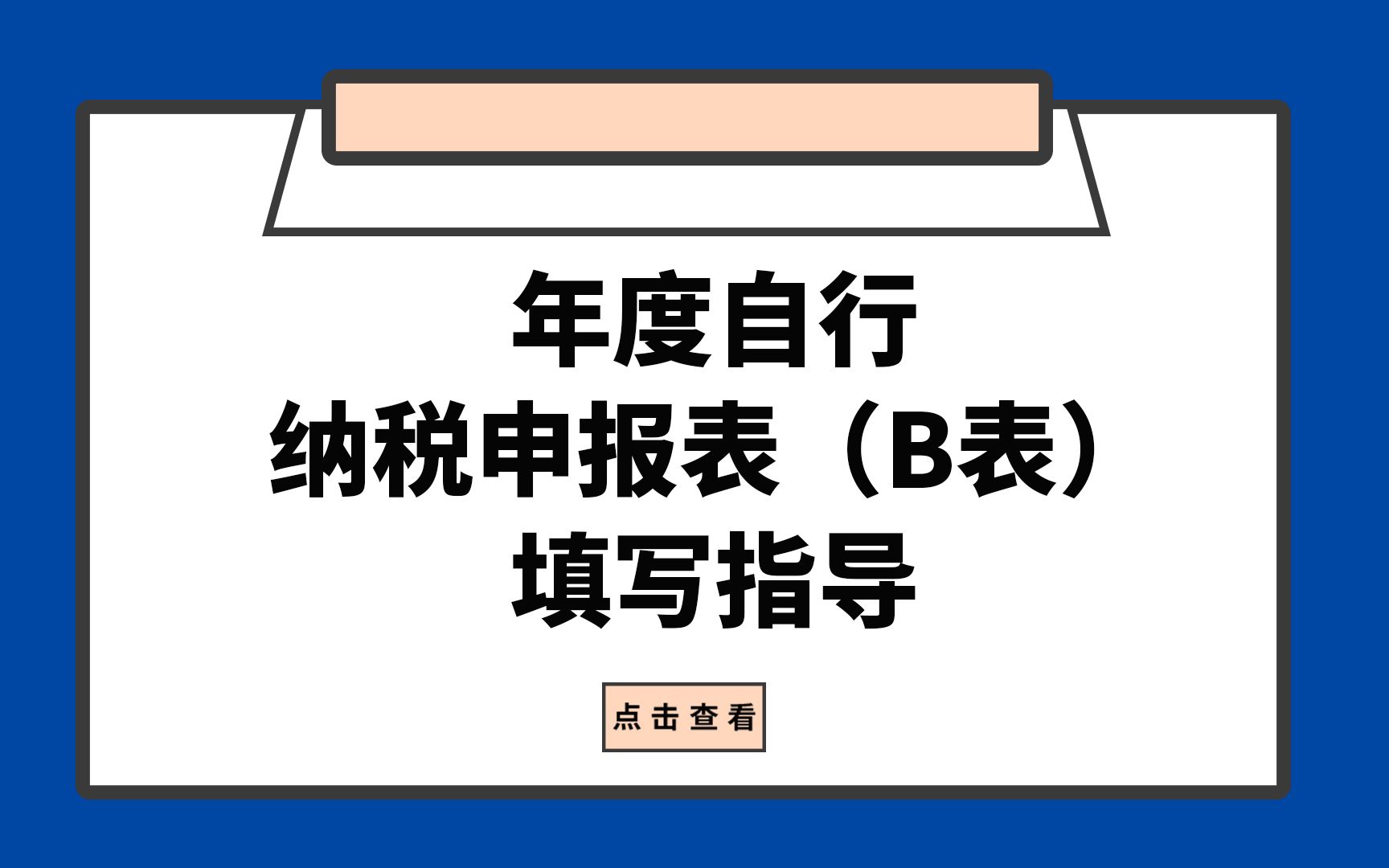 个人所得税年度自行纳税申报表(B表)填写指导哔哩哔哩bilibili