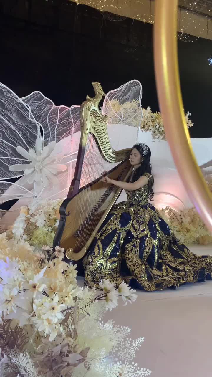 弘韵凤首踏板全转箜篌