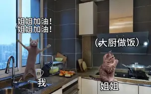 Download Video: 【猫猫meme】姐姐煮给我吃螺蛳粉