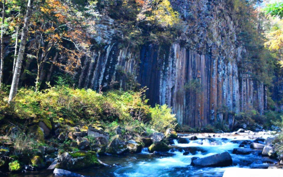 藏在长白山腹地的望天鹅风景区哔哩哔哩bilibili