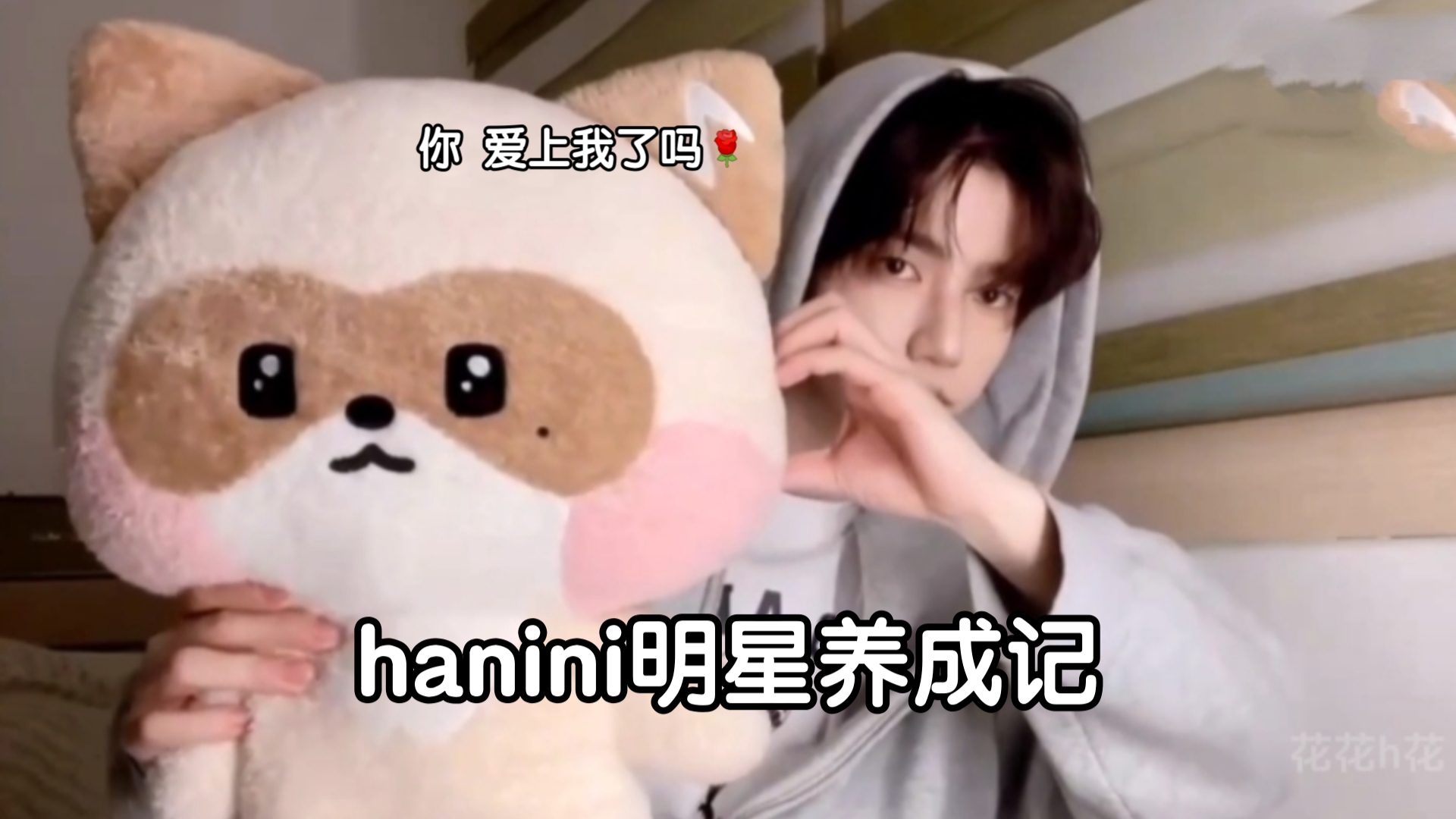 【章昊】hanini的明星养成记哔哩哔哩bilibili