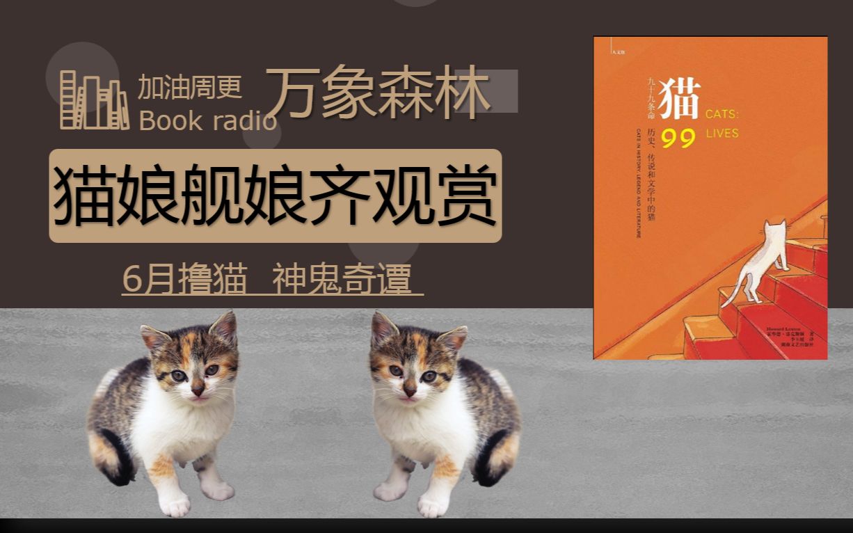 [图]读书丨好想做只猫啊，长的好看啥都不干还能继承遗产那种