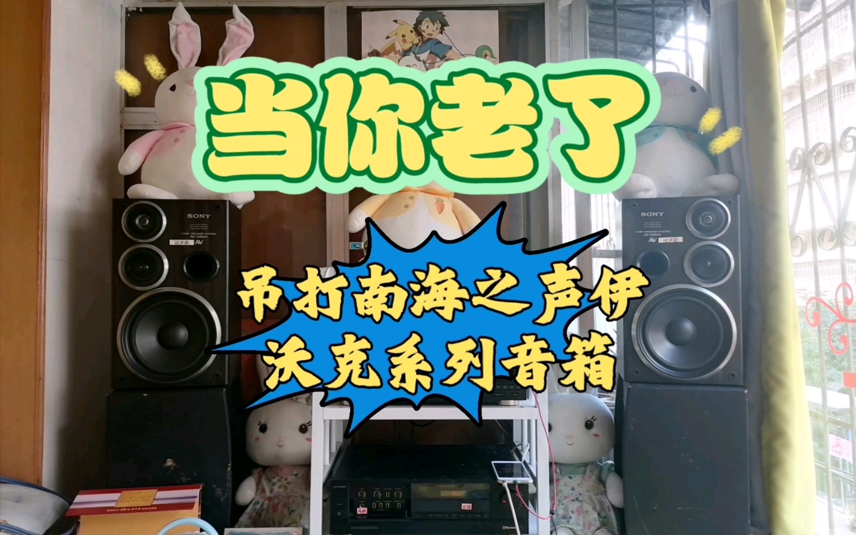 [图]Hi-Fi音响系统播放歌曲“当你老了”索尼音箱这清晰干净的声音你爱了吗？〔吊打南海之声以沃克系列音箱〕