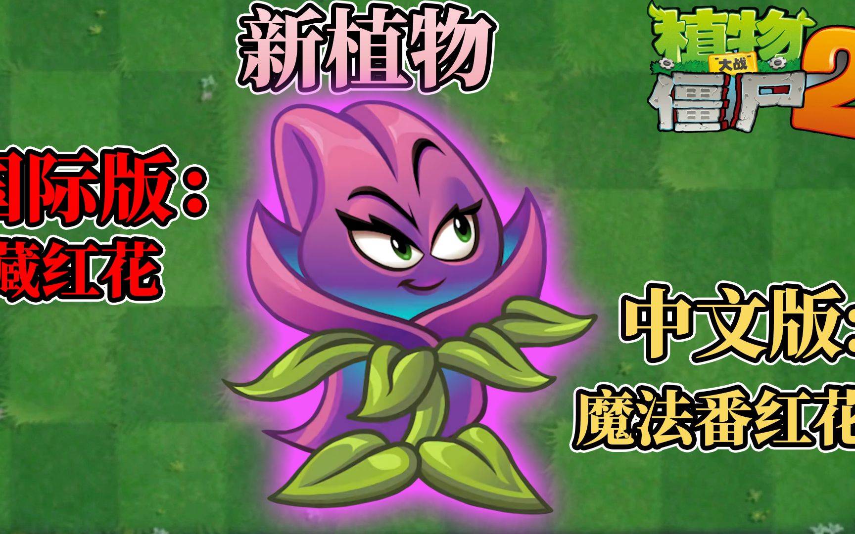 [图]Pvz2：新植物，魔法番红花！