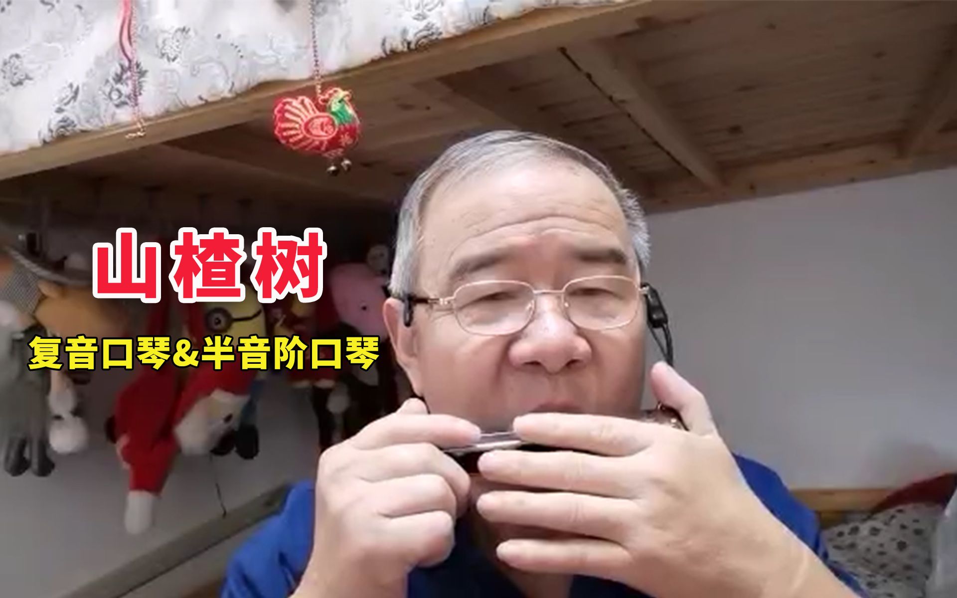 山楂树复音口琴c调和半音阶口琴c调同一首歌用不一样的口琴吹大家更