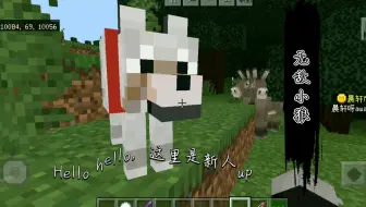 我的世界生存党必看:无敌小狼狗特性