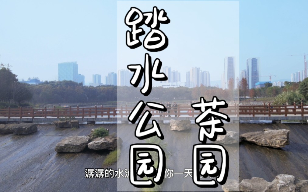 你家附近公园 散步 钓鱼 晒太阳也很不错 -踏水公园