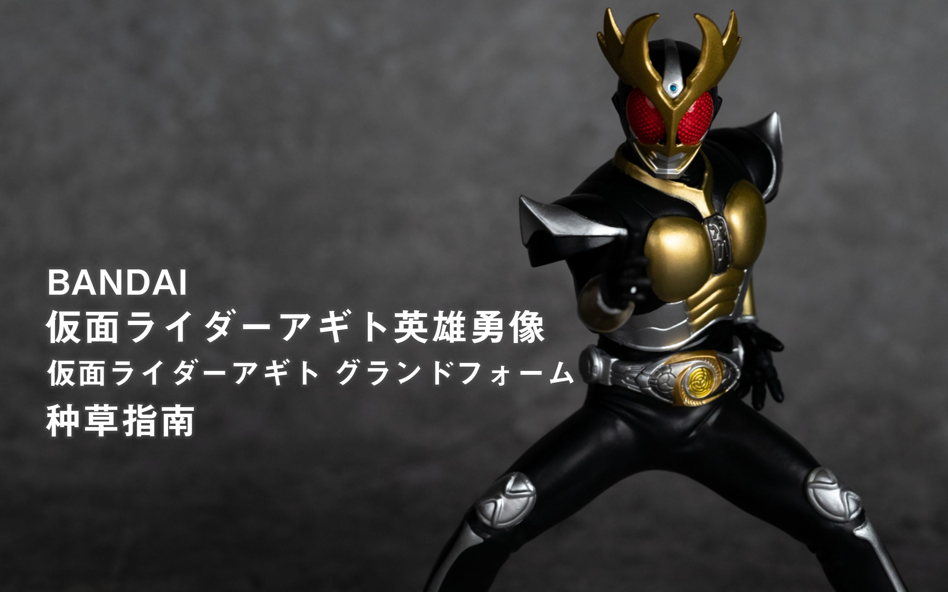 活动  【种草指南】万代 假面骑士agito英雄勇像 假面骑士agito 大地