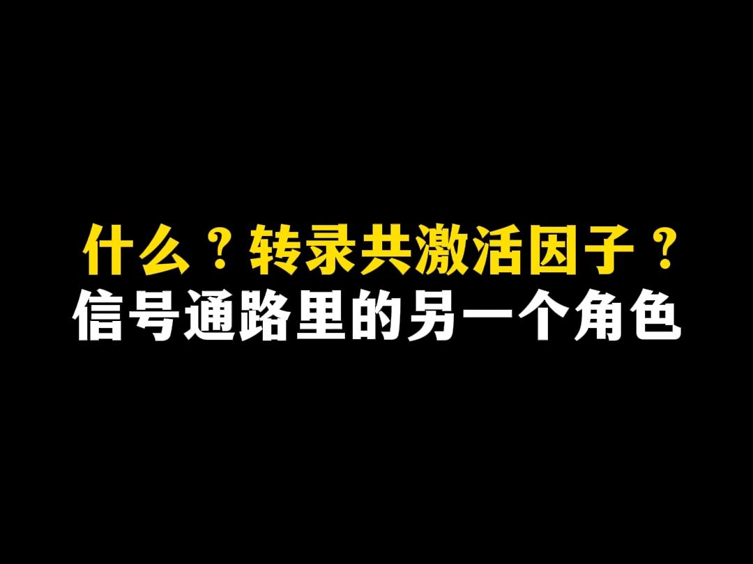 什么?转录共激活因子?信号通路里的另一个角色哔哩哔哩bilibili