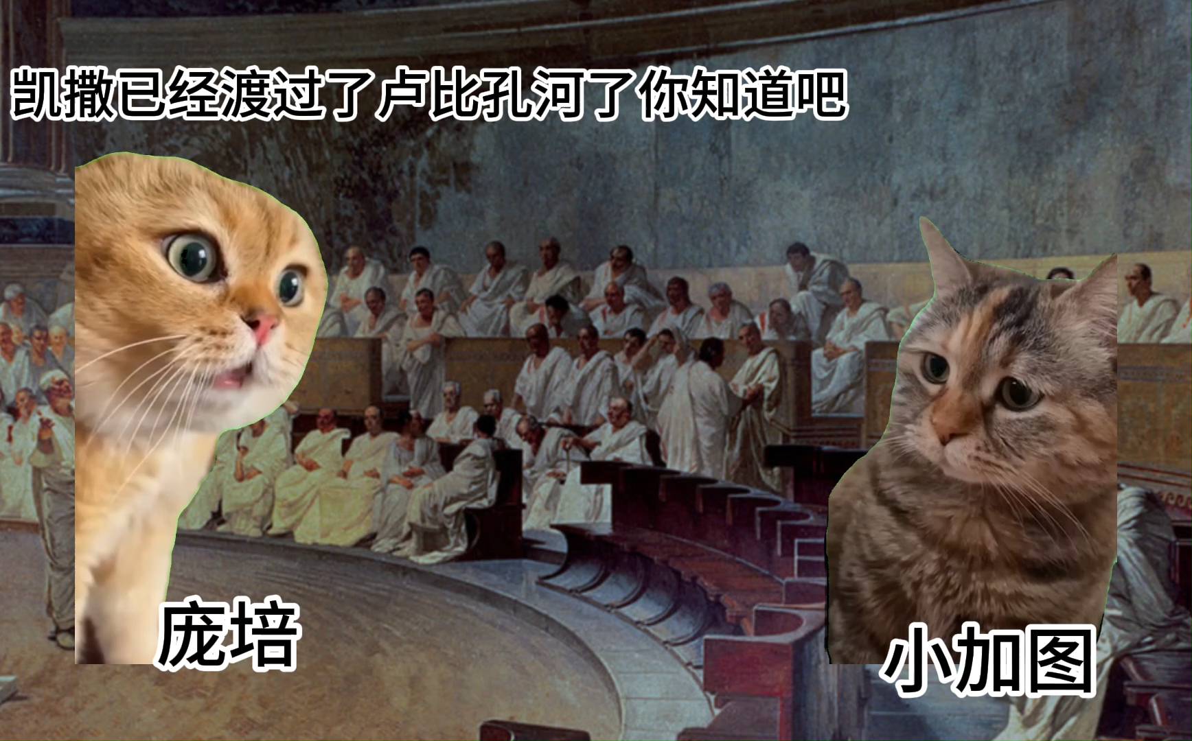 【猫猫meme】“加图之死”——斯多葛圣人的接近理想“我比死亡更严峻,我会利用发生的一切来为自己赢得荣耀”哔哩哔哩bilibili