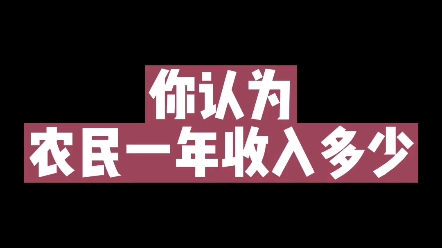 你认为农民一年收入多少? #写字是一种生活 #新知创作人 #教育哔哩哔哩bilibili