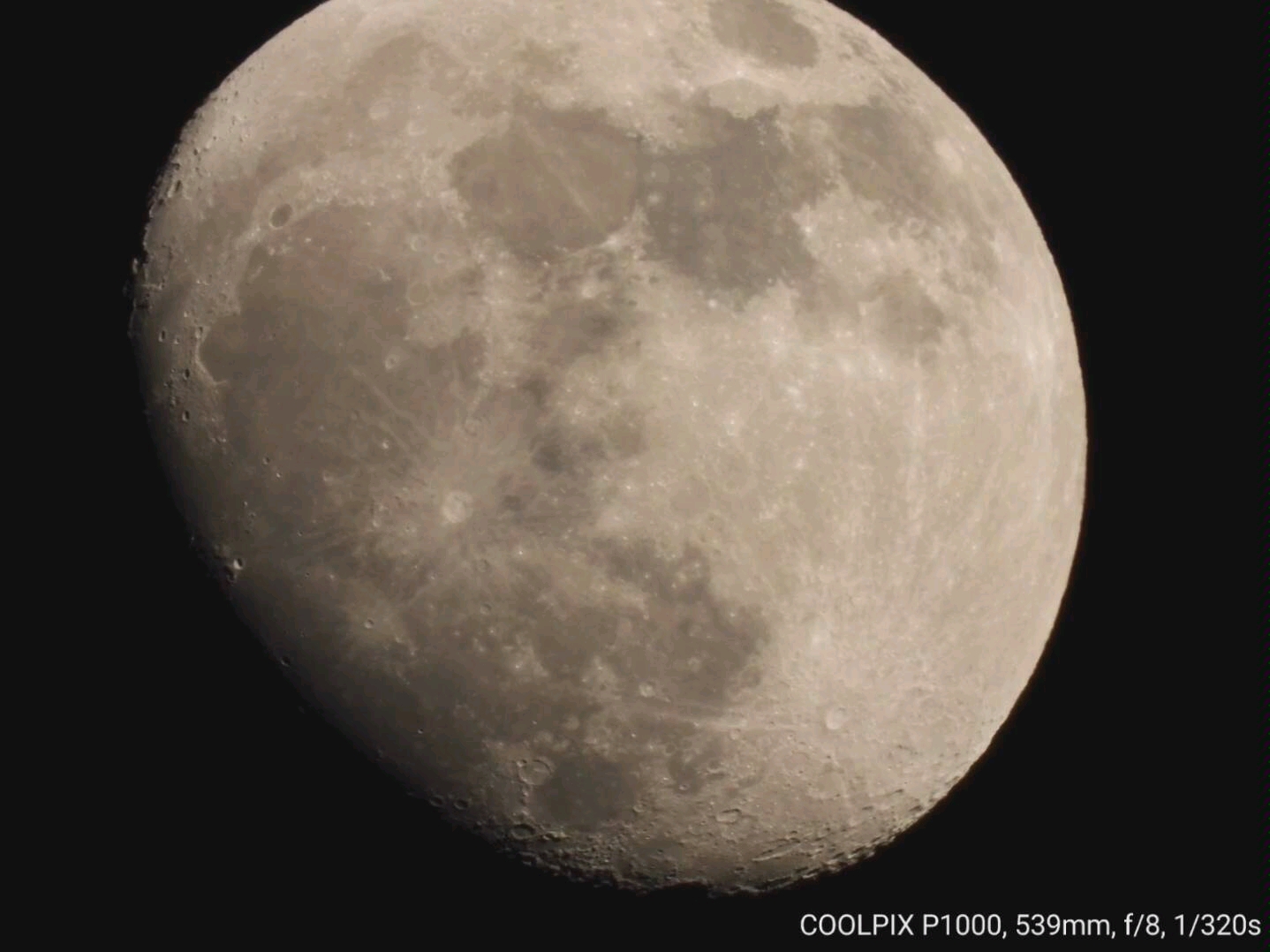 尼康p1000测试拍月