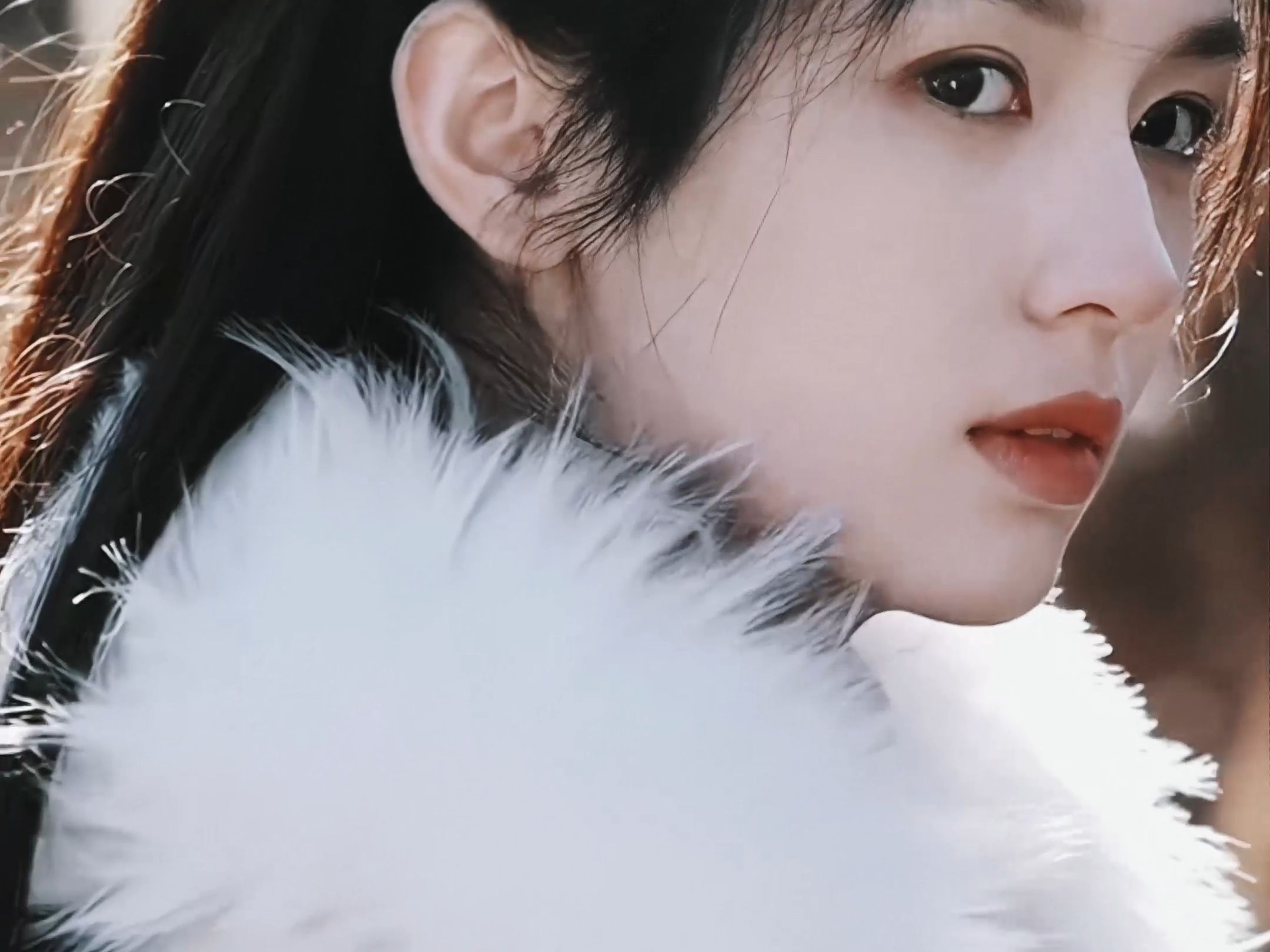 小公子*江湖女侠|周也*陈瑶