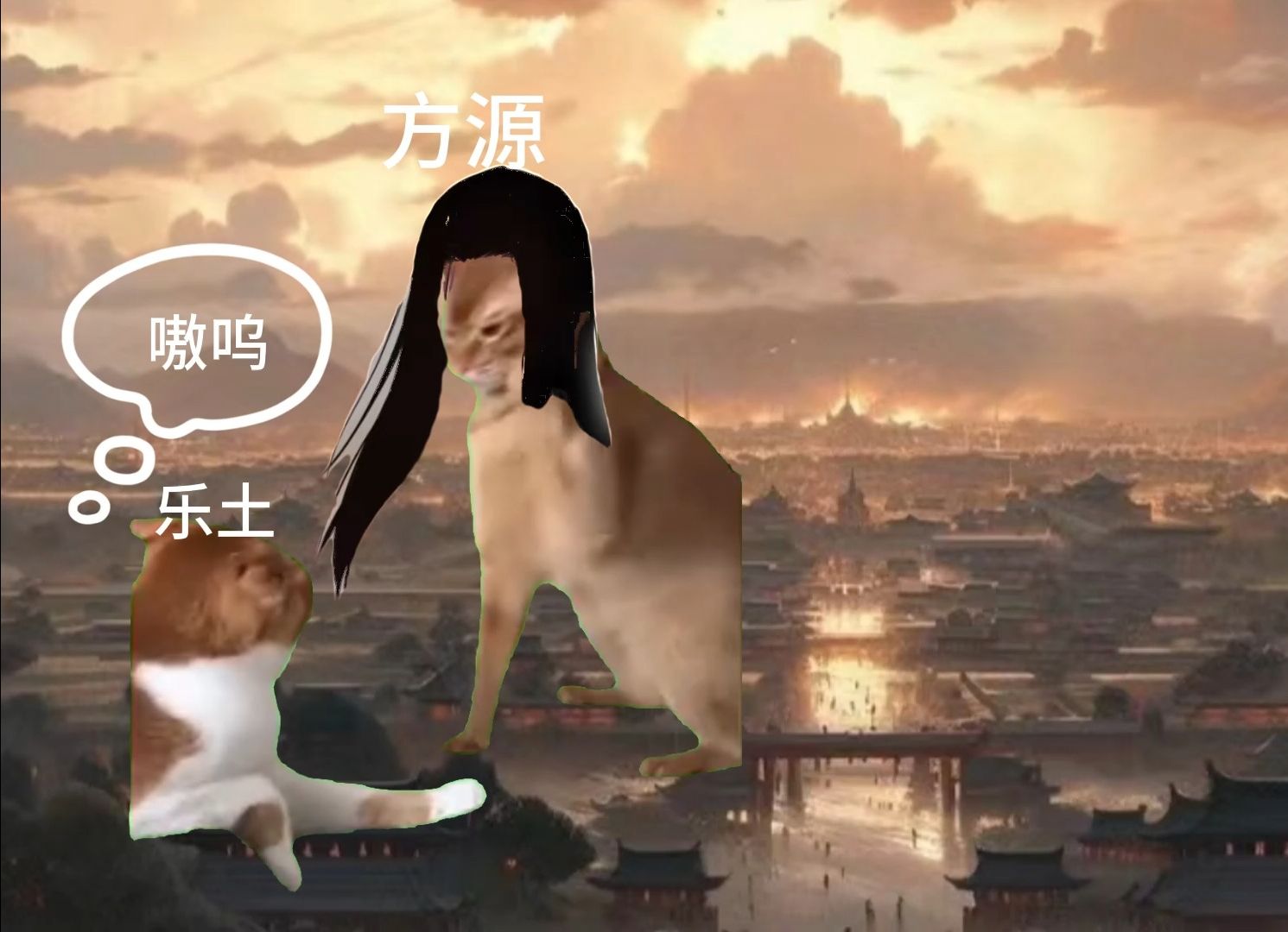 [图]《猫meme》成尊之战