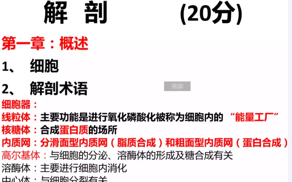 [图]执业兽医资格考试临时抱佛脚-解剖