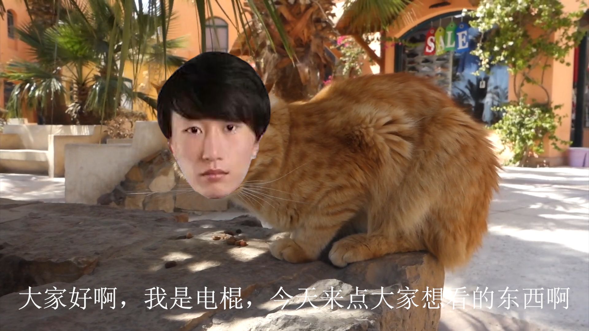 7915 是 猫 棍 哥7915【电棍】【otto】