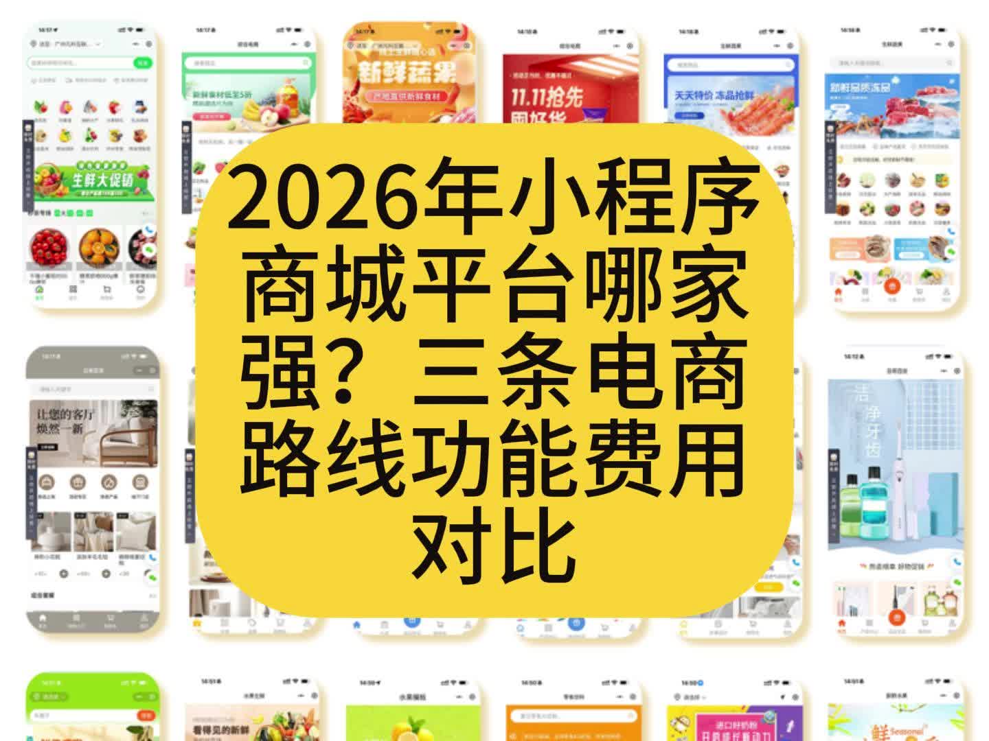 2026年小程序商城平台哪家强?三条电商路线功能费用对比