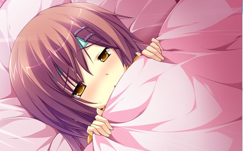 花与乙女的祝福皇家花束11连夜连斗名木城家爱的留宿聚首1