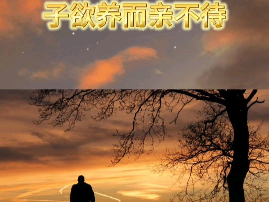 子欲养而亲不待