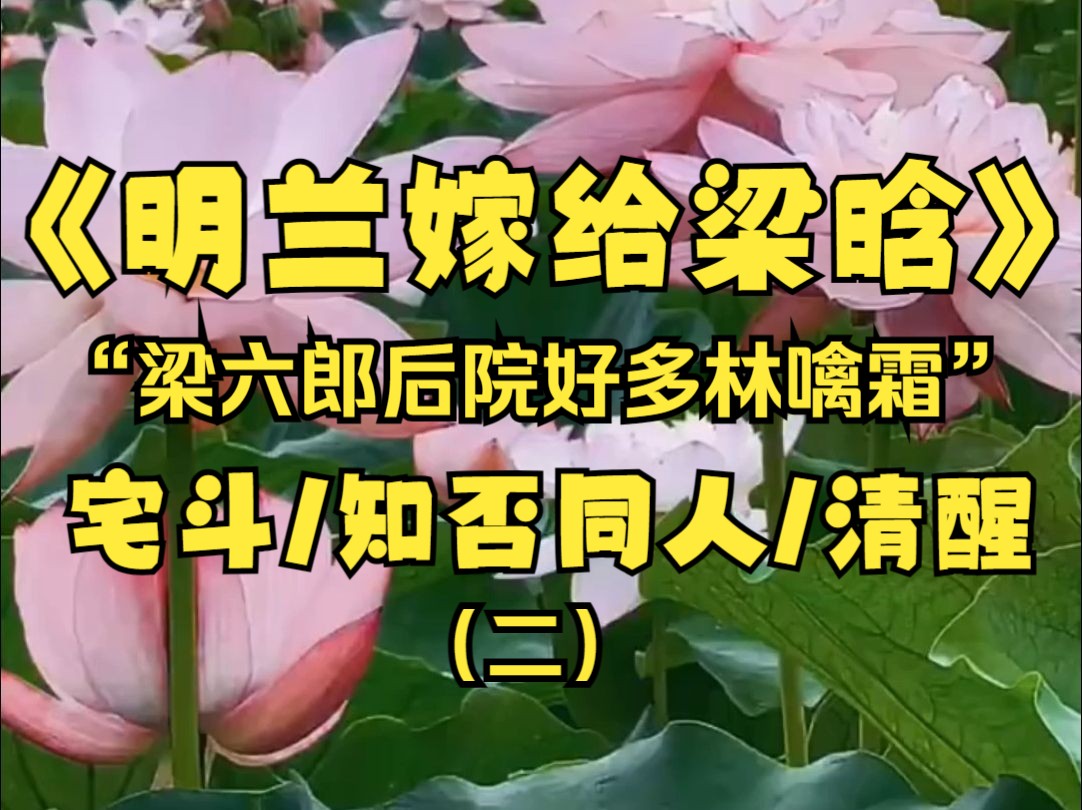 【知否明兰】我是盛家小六盛明兰,我与梁家六郎成婚没几日内宅的斗争就已拉开帷幕,饶是我早已司空见惯这些还是不得不赞叹一句:精彩!!!哔哩哔...