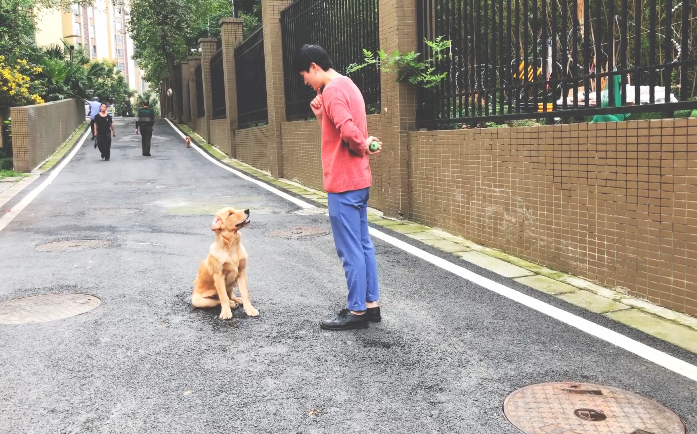 【文明养犬 从我做起】慢慢改善养狗人与不养狗人的矛盾 让这些毛孩子被更多的人们更多的空间接纳哔哩哔哩bilibili