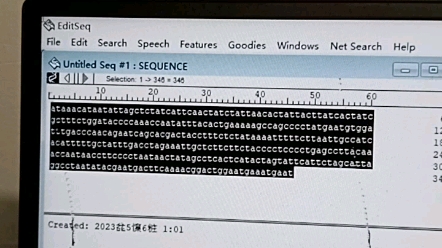如何找出基因的序列长度和CG含量(DNAeditseq软件)哔哩哔哩bilibili