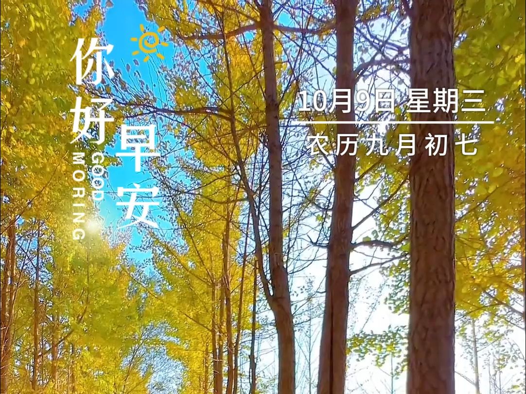 10月9日,星期三,早安!愿你的每一天,都如同清晨的第一缕阳光,充满希望、温暖和力量!哔哩哔哩bilibili