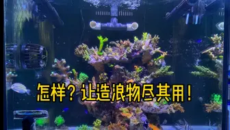 关于海缸造浪与水流的问题 哔哩哔哩 Bilibili