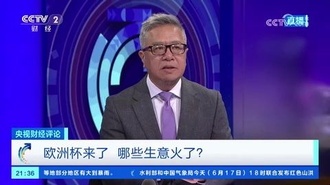 刘戈:从产品到渠道 中国企业已成欧洲“强队”哔哩哔哩bilibili