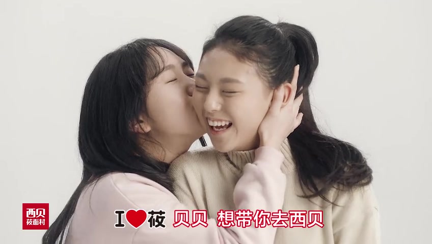 华与华经典广告案例集锦(14P)哔哩哔哩bilibili