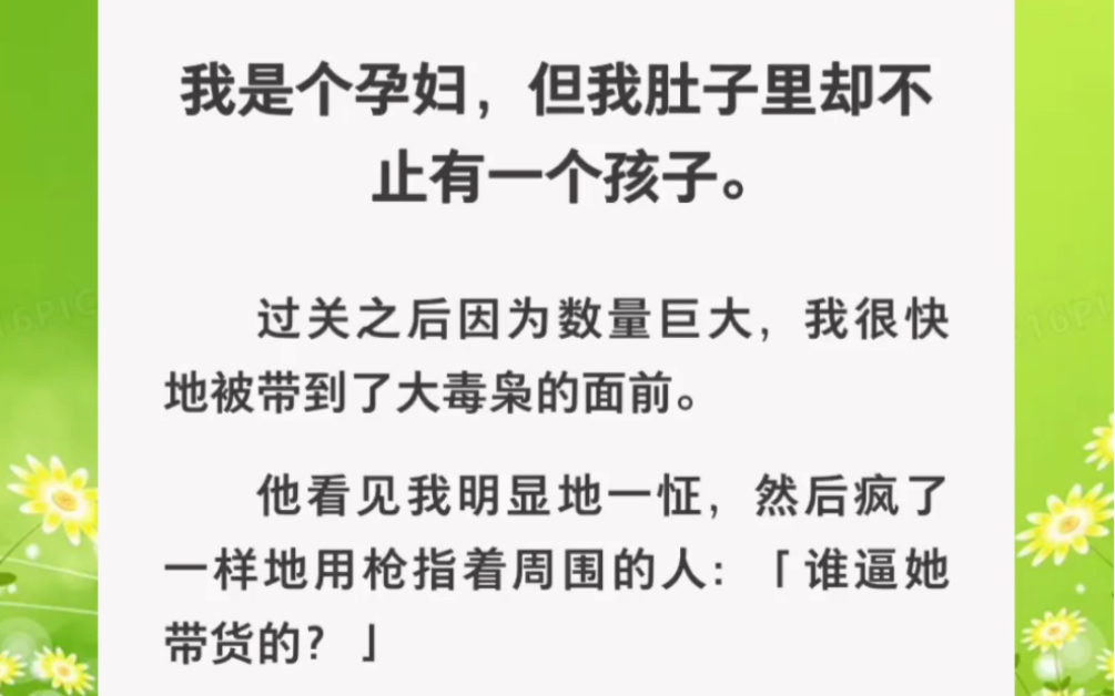 我是个孕妇,但我肚子里却不只有个孩子,还有……zhihu小说《孕妇风险》哔哩哔哩bilibili