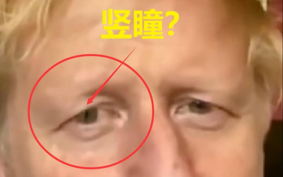 [图]他也是蜥蜴人？