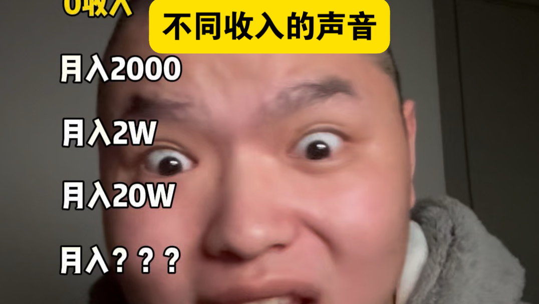 不同收入的声音