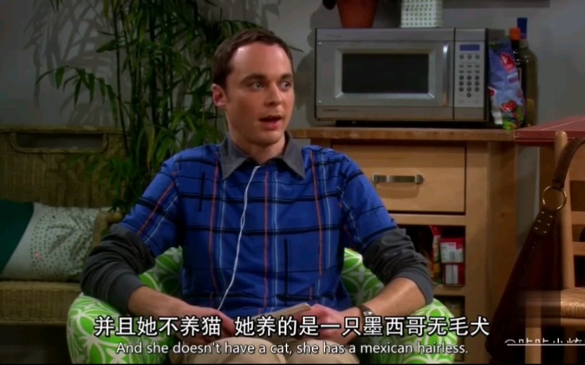 【TBBT】谢尔顿现场讲授薛定谔的猫哔哩哔哩bilibili