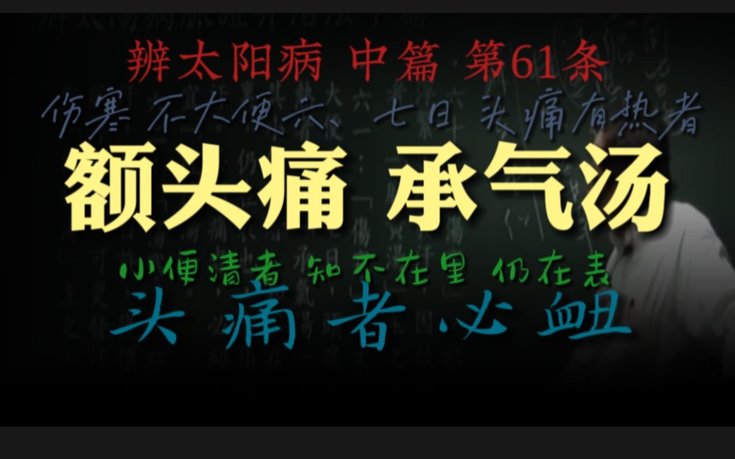 承气汤,伤寒不大便六七日,额头痛有热,流鼻血,辩太阳病 第61条哔哩哔哩bilibili