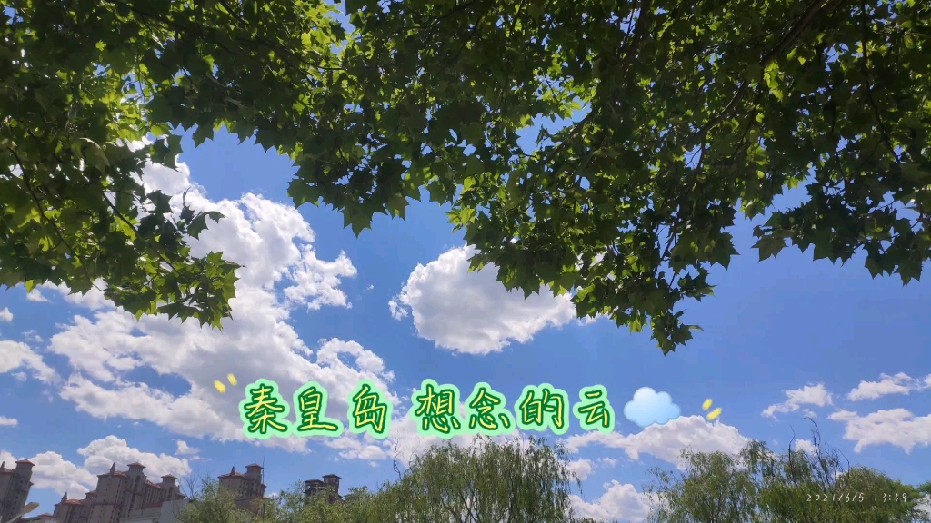 秦皇岛的云☁️哔哩哔哩bilibili