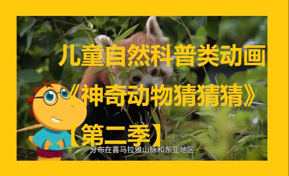 【科普】儿童自然科普类动画《神奇动物猜猜猜》  【第二季】