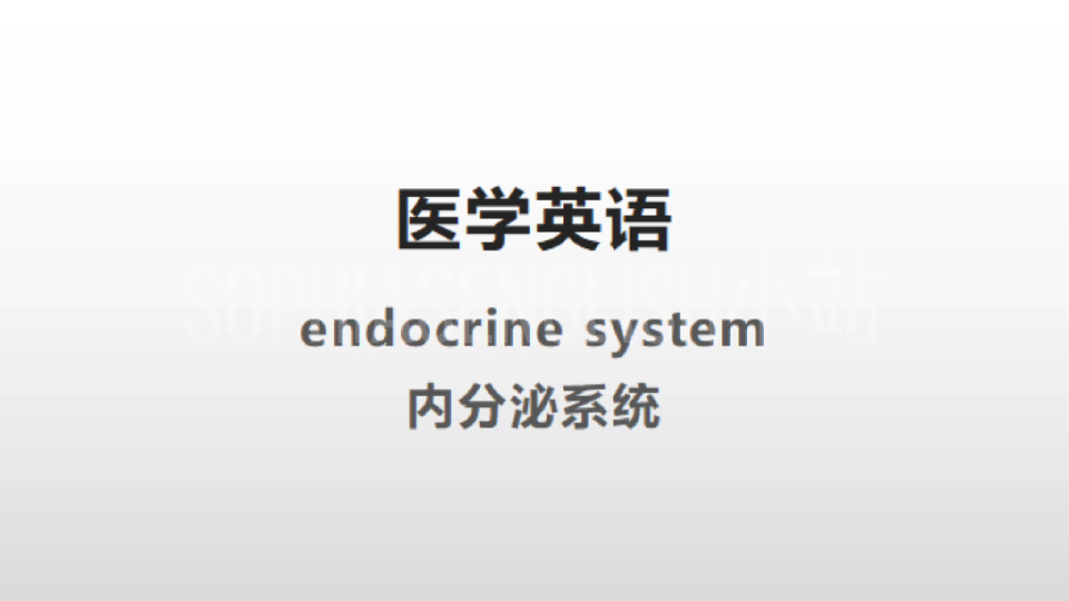 [医学英语]endocrine system2内分泌系统cut13哔哩哔哩bilibili