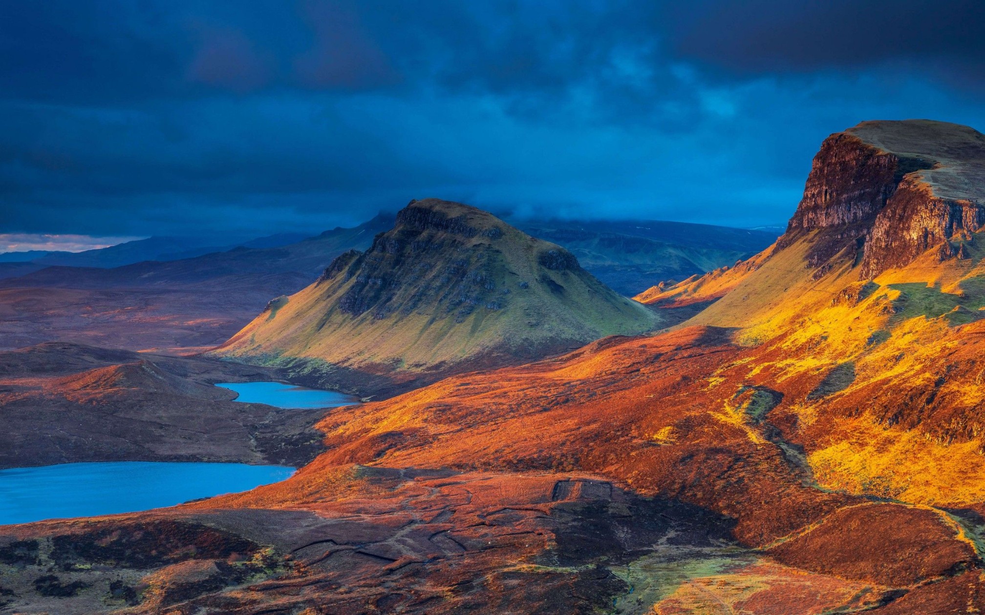 减压放松,鸟蝉和唱,缓和情绪