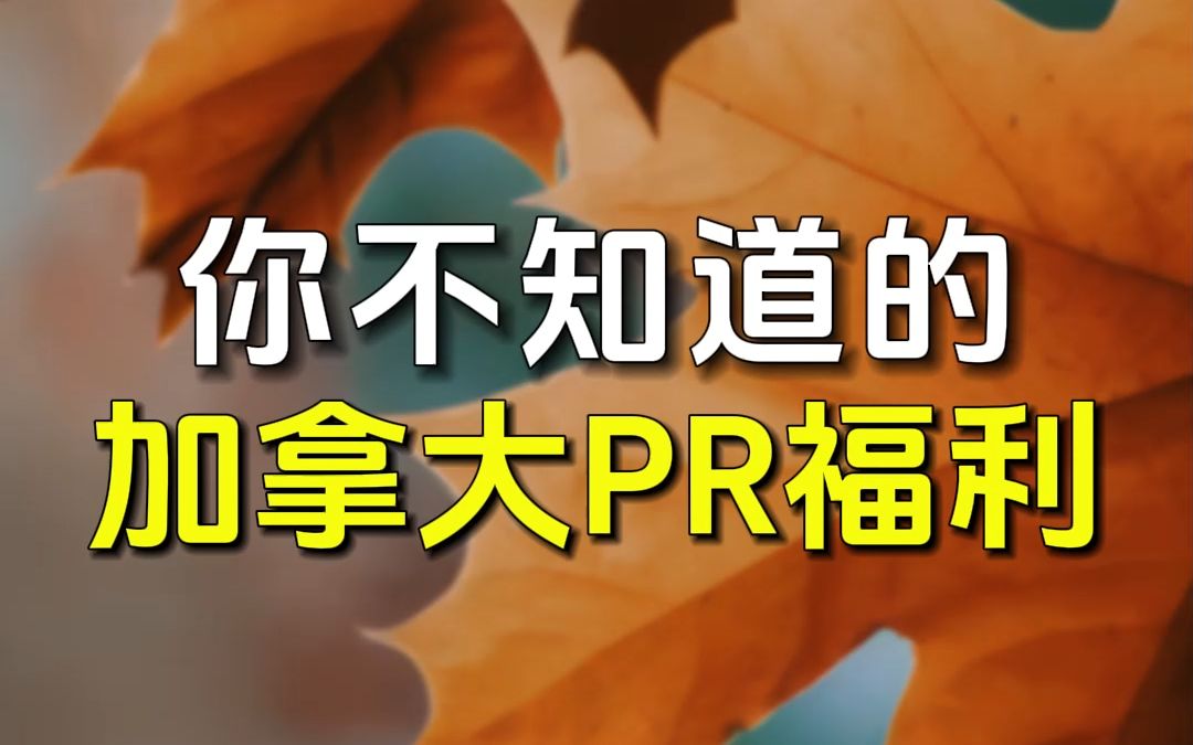 枫向标 你不知道的加拿大PR福利哔哩哔哩bilibili