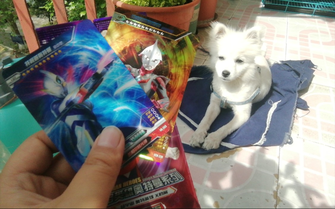 在家里发现了即将绝版的荣耀13弹sl!拆出蓝色的大剪刀!