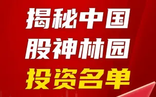 揭秘中国股神林园投资名单（20只金股）