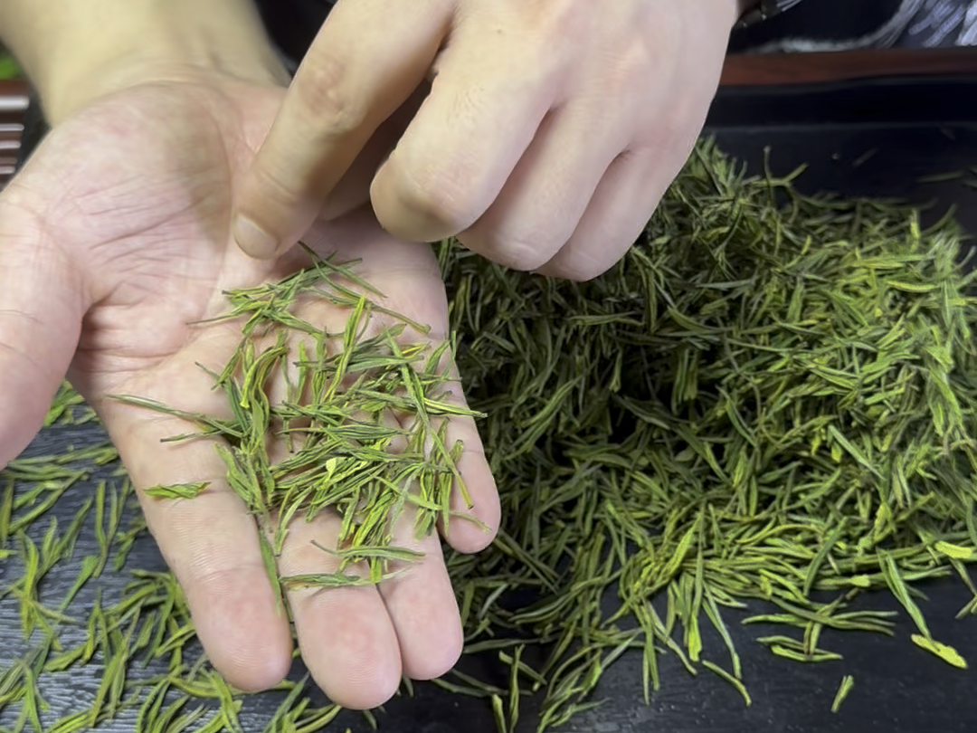 明前高山白茶,颗颗嫩芽,花香浓郁,叶白脉绿,所见所得,这个品质高级